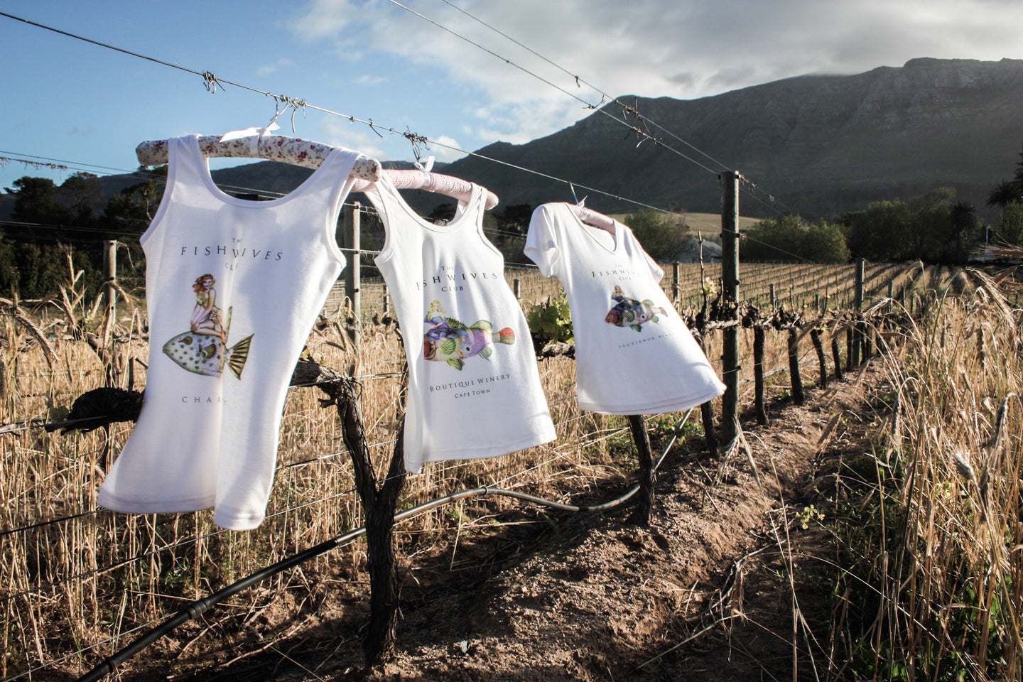T-shirts hanging in the vineyards